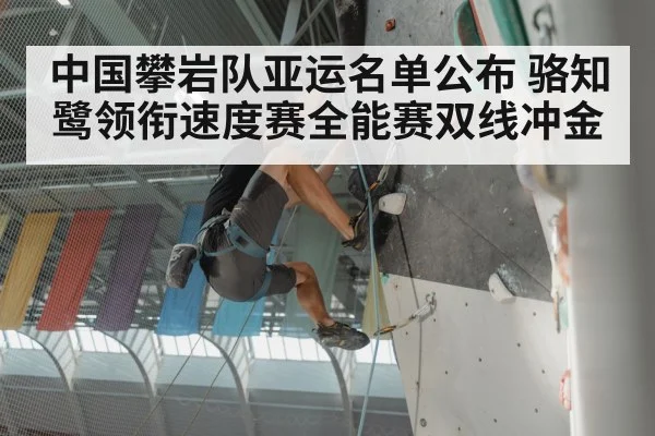 中国攀岩队亚运名单公布 骆知鹭领衔速度赛全能赛双线冲金